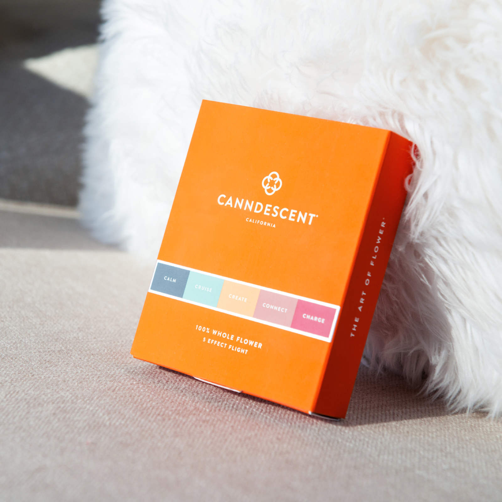 Canndescent Flight Pack